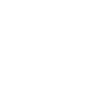 light-icon